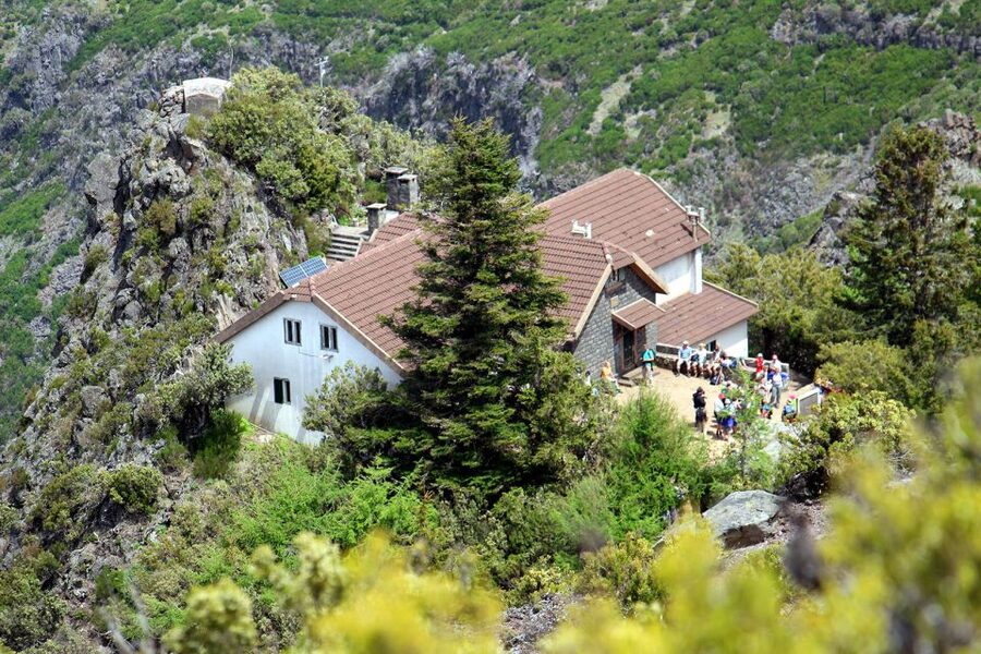 From Funchal: Madeira Peaks Mountain Walk - What guides add to the day