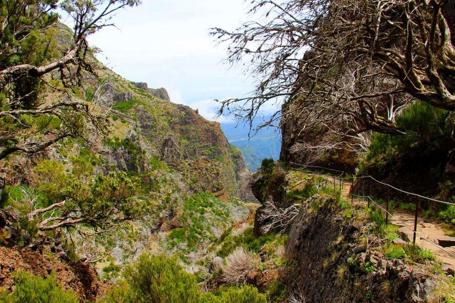 From Funchal: Madeira Peaks Mountain Walk - Weather is part of the experience