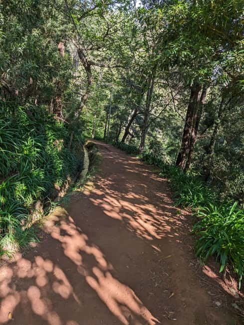From Funchal: Pico Arieiro Sunrise with Optional Breakfast - Monday is best for a low-cost sunrise