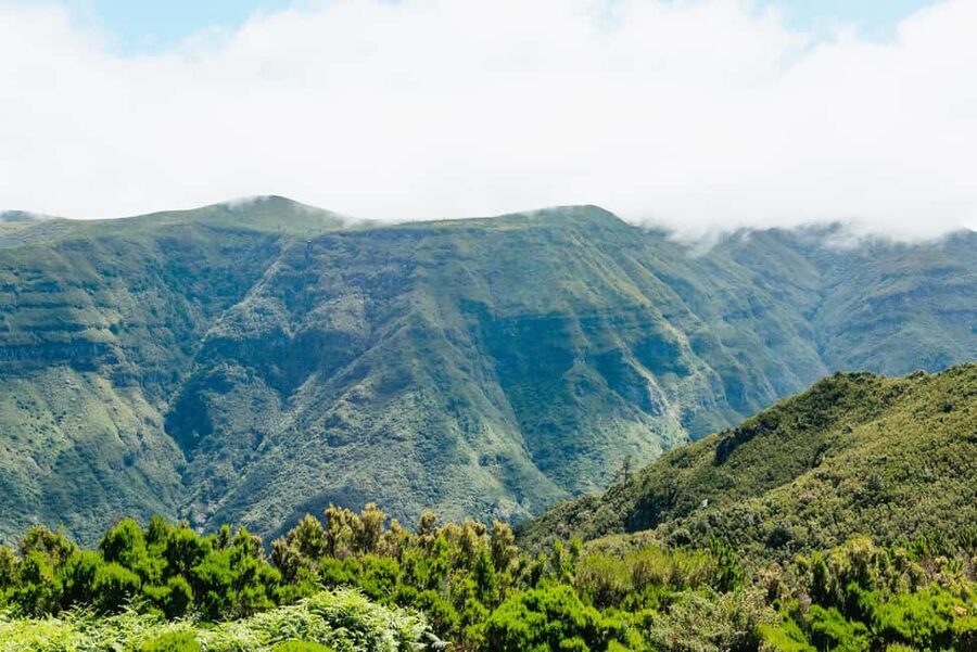From Funchal: Porto Moniz and Seixal Day Tour by Jeep - The guide can make or break the day