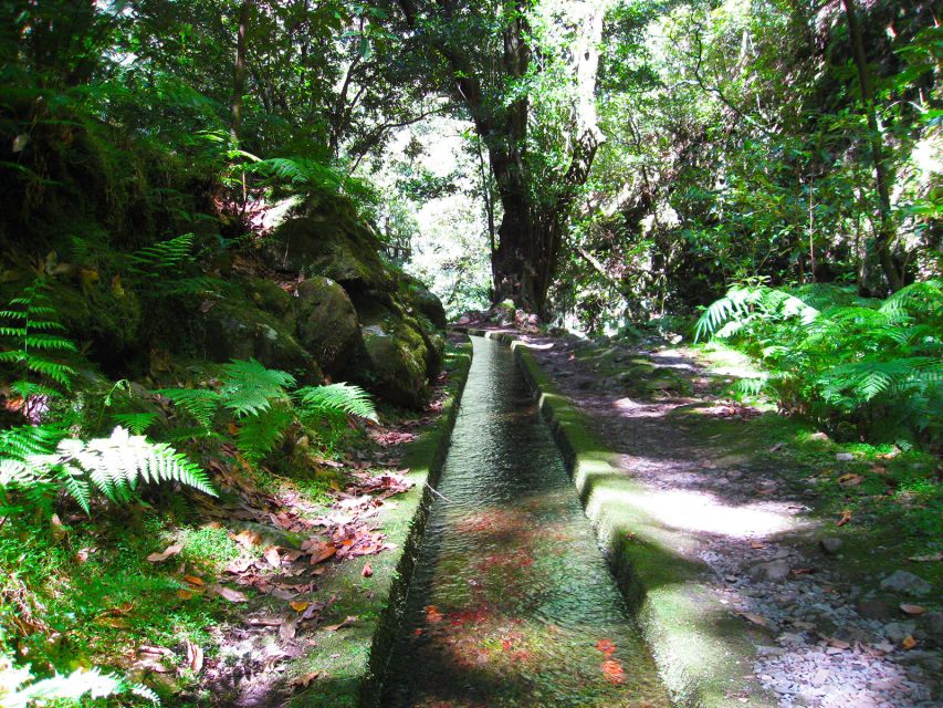 From Funchal: São Jorge Valleys Levada Walk - Key points to know before you book