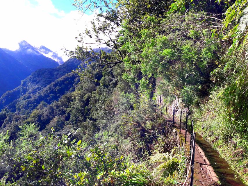 From Funchal: São Jorge Valleys Levada Walk - Why Levada do Rei is a good first Madeira walk
