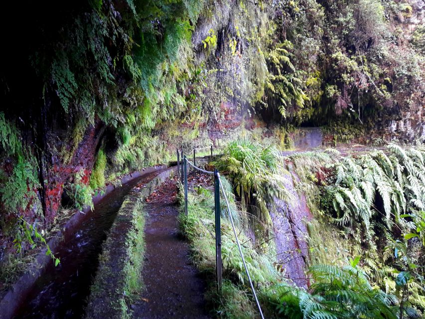 From Funchal: São Jorge Valleys Levada Walk - The gentle climb to Ribeiro Bonito