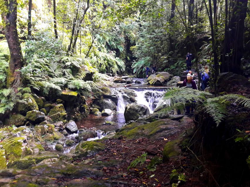From Funchal: São Jorge Valleys Levada Walk - The waterfall section is the tour’s big moment