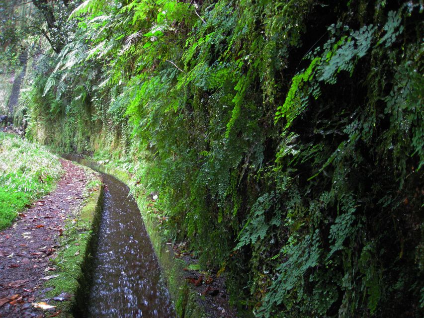 From Funchal: São Jorge Valleys Levada Walk - Is $50 a fair price?