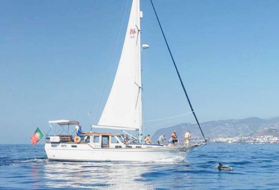 From Funchal: West Bays Sailing Tour with Lunch - Setting out from Praça do Povo and Cais 8