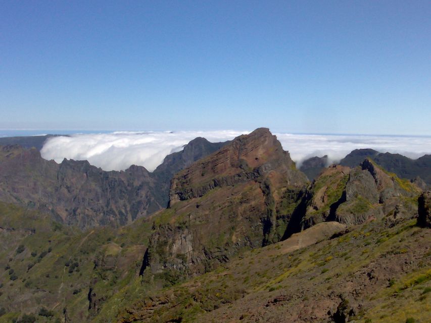 From Funchal: West Madeira Waterfalls and Fanal Forest Tour - What the guide and vehicle are like