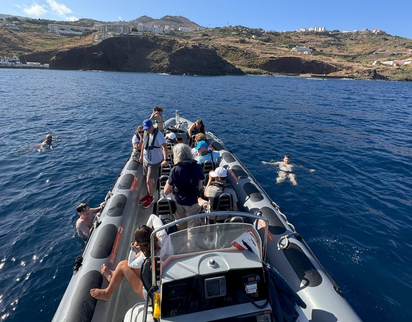 From Funchal: Whale and Dolphin Watching - The whales and dolphins you might see
