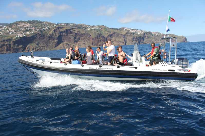 From Funchal: Whales and Dolphin Adventure Tour - Key Points at a Glance