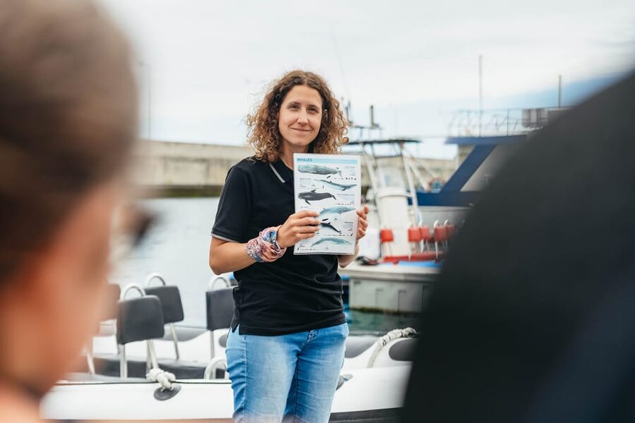 From Funchal: Whales and Dolphin Adventure Tour - Should You Book the Madeira Whale and Dolphin Adventure?
