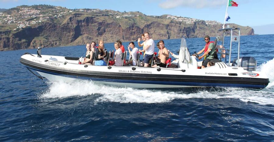 From Funchal: Whales and Dolphin Adventure Tour - Leaving Funchal Marina on a Small Speedboat