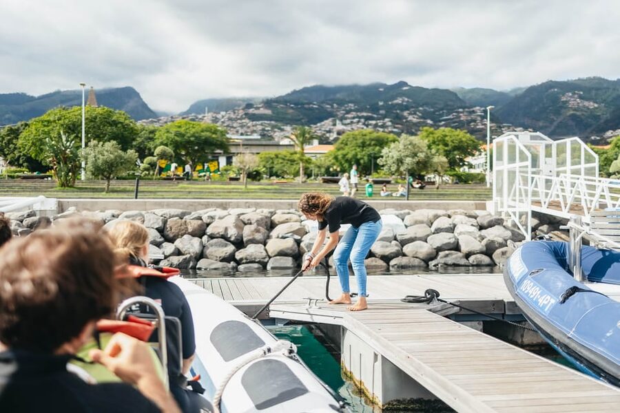 From Funchal: Whales and Dolphin Adventure Tour - The Guides Make the Difference