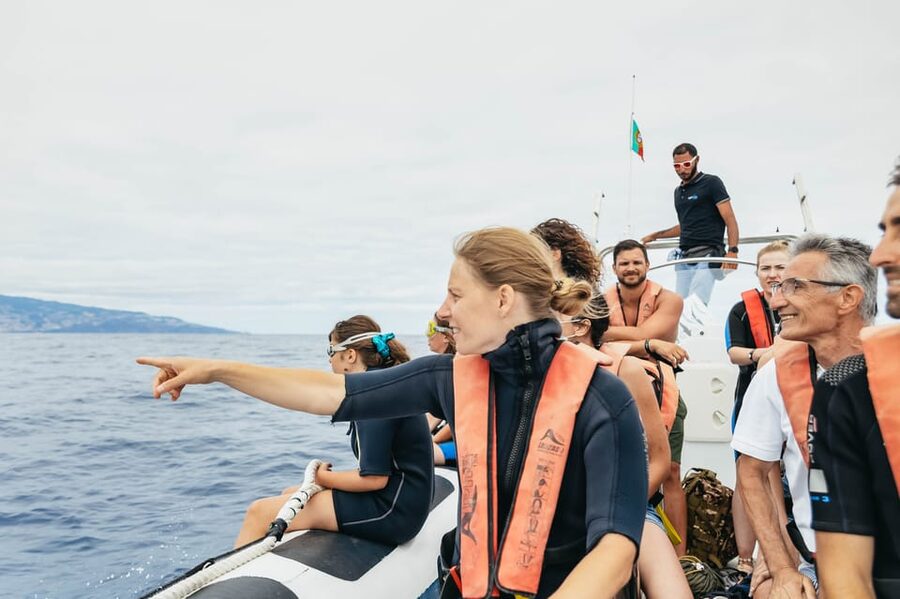 From Funchal: Whales and Dolphin Adventure Tour - The Views and the Physical Feel of the Ride