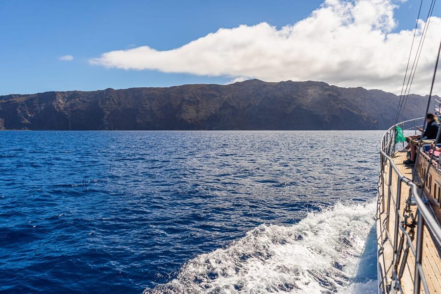 From Funchal: Wooden Boat Excursion to Desertas Island - What the island visit really offers