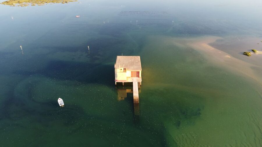 From Fuzeta: 2-Hour Southeast Ria Formosa Boat Trip - Armona Island and the Swimming Stop