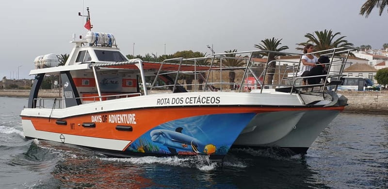 From Lagos: Benagil Caves Catamaran Cruise - Final verdict: book it for the coast, not just the cave