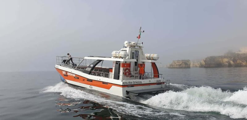 From Lagos: Benagil Caves Catamaran Cruise - Comfort, space, and access on board