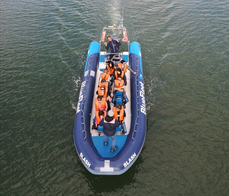 From Lagos: Dolphin Watching Boat Trip w/Marine Biologists - Who should book this Lagos dolphin trip?
