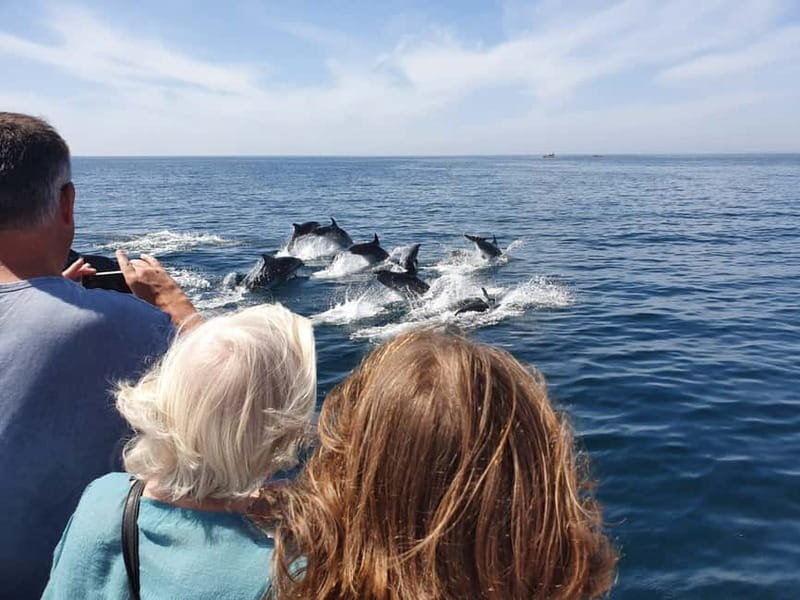 From Lagos: Dolphin Watching Catamaran Cruise - What the guides add to the experience
