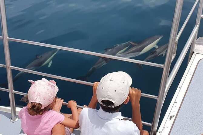 From Lagos: Dolphin Watching Cruise on a Catamaran - Quick takeaways