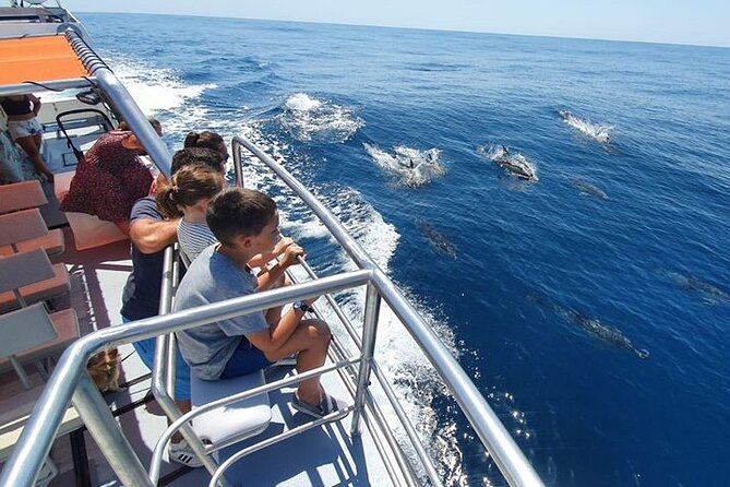From Lagos: Dolphin Watching Cruise on a Catamaran - Finding the dolphins in the Atlantic