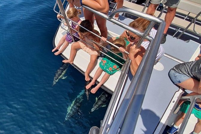 From Lagos: Dolphin Watching Cruise on a Catamaran - Timing, price, and what you really receive