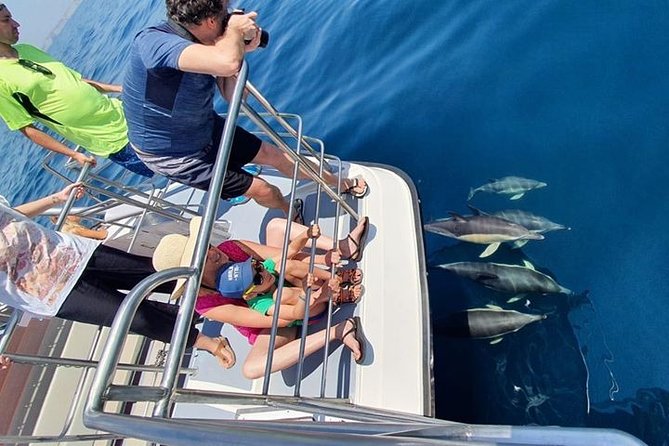 From Lagos: Dolphin Watching Cruise on a Catamaran - Who will enjoy this cruise most