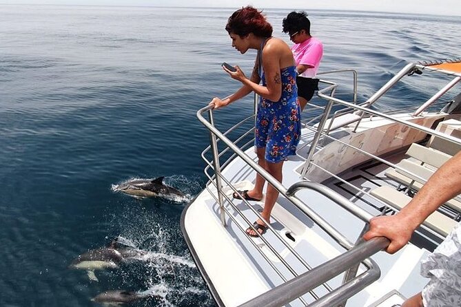 From Lagos: Dolphin Watching Cruise on a Catamaran - Booking and cancellation details worth knowing