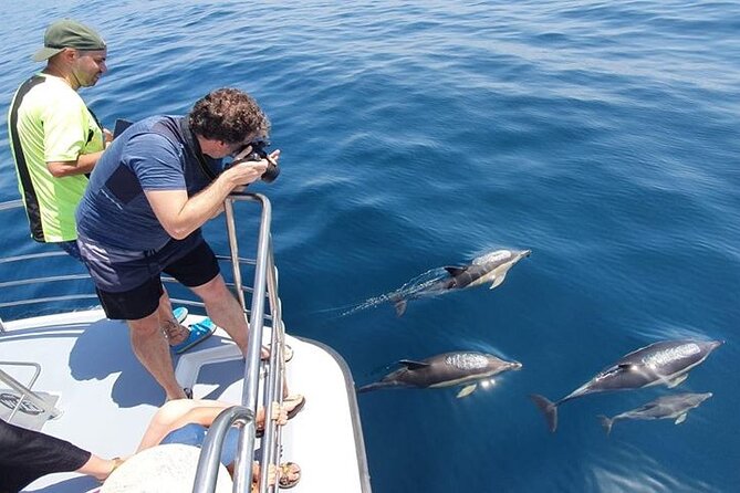 From Lagos: Dolphin Watching Cruise on a Catamaran - The run west toward Luz and out to sea
