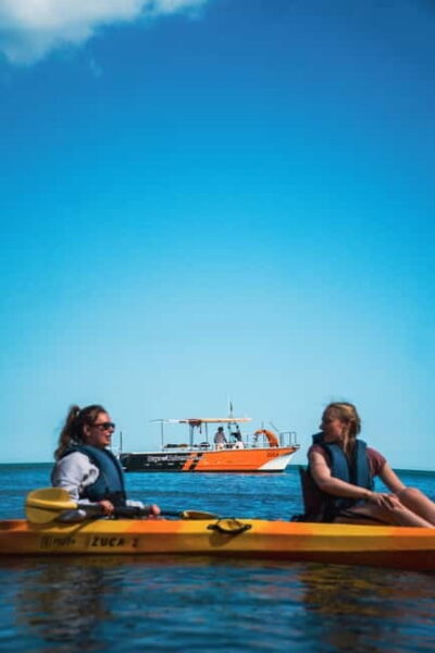 Ponta da Piedade Caves Kayak Tour from Catamaran