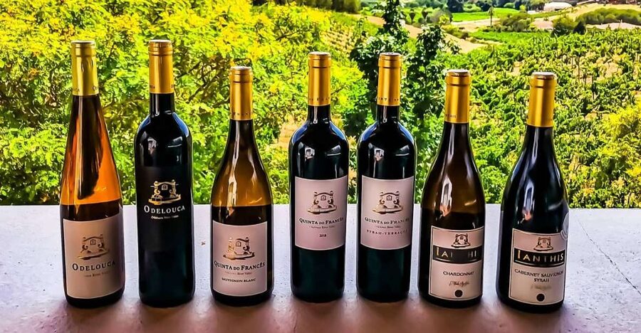 From Lagos: Small-Group 4-Hour Wine Tasting Tour - Key points to know before booking