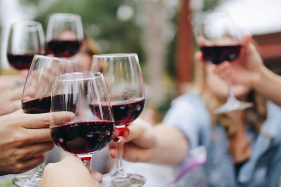 From Lagos: Small-Group 4-Hour Wine Tasting Tour - Leaving Lagos for the Algarve countryside