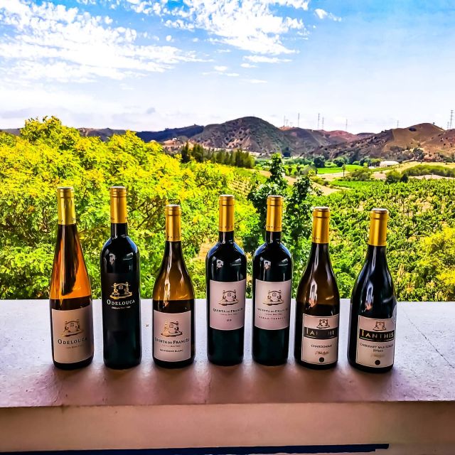 From Lagos: Small-Group 4-Hour Wine Tasting Tour - At the vineyard: two and a half hours with local wine