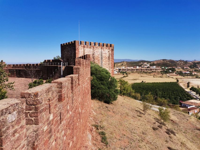 From Lagos: Small-Group 4-Hour Wine Tasting Tour - Practical details that can improve the day