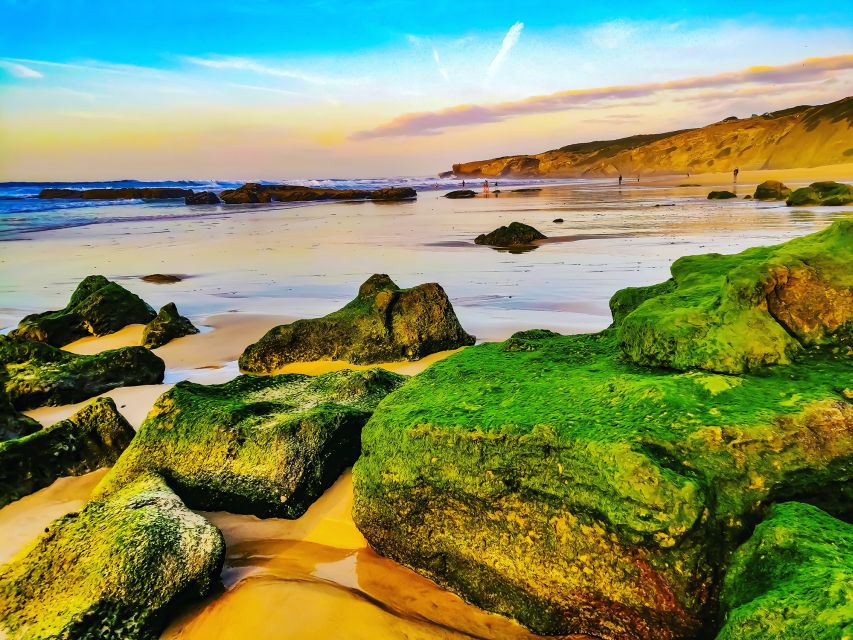 From Lagos: Wild and Wonderful West Coast Full-Day Tour - What the guide adds to the experience