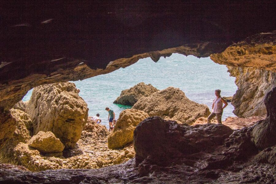 From Lisbon: Arrábida Day Tour & Wine Tasting - Key reasons to consider this Arrábida tour