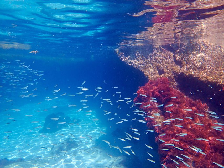 From Lisbon: Arrábida Natural Park Kayak Tour with Lunch - Reaching Praia dos Galapinhos