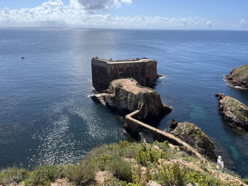 From Lisbon: Berlenga Grande Sightseeing Tour - What the $148 price really covers