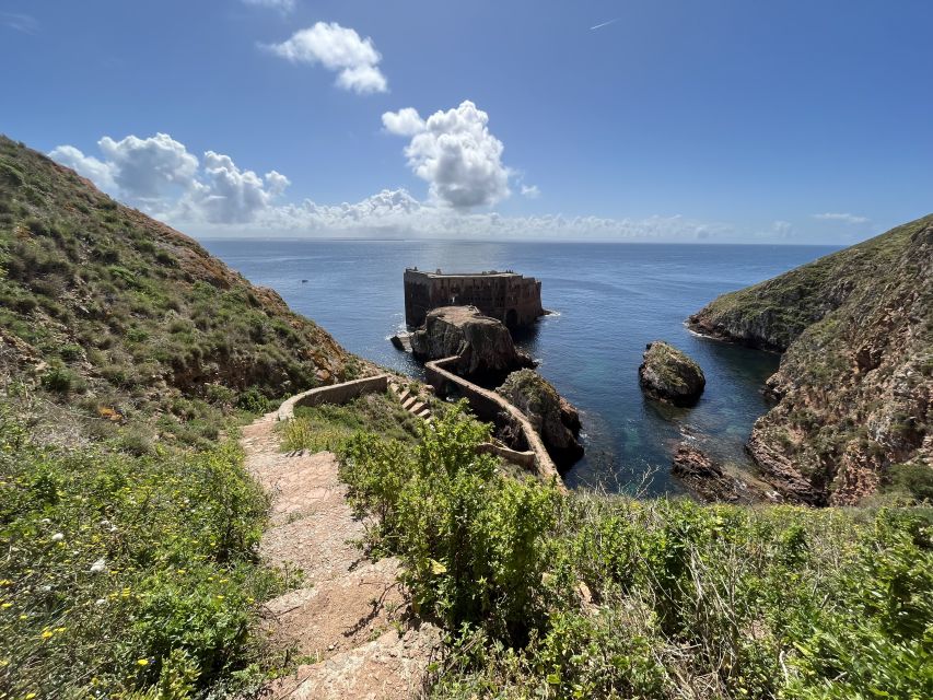From Lisbon: Berlenga Grande Sightseeing Tour - Language, group size, and service
