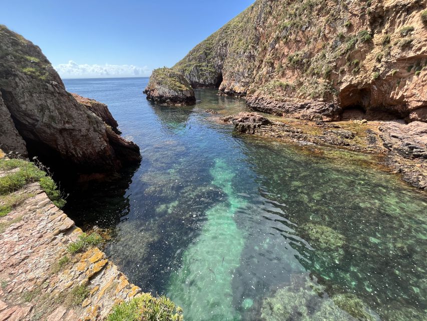 From Lisbon: Berlenga Grande Sightseeing Tour - Crossing to Berlenga Grande by boat