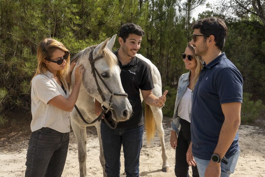 From Lisbon: Comporta and Setúbal Trip with Horseback Riding - FAQ