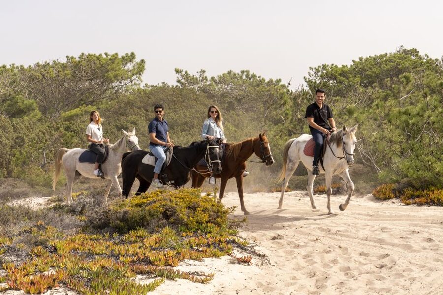 From Lisbon: Comporta and Setúbal Trip with Horseback Riding - What the guides add to the day