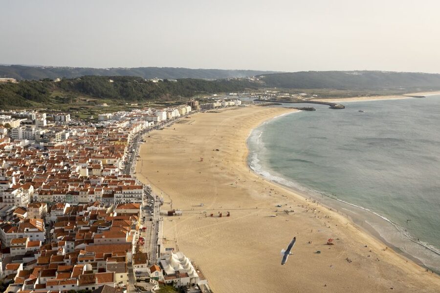 From Lisbon: Day Trip to Porto, Óbidos, and Nazaré - Should you book this Lisbon day trip?