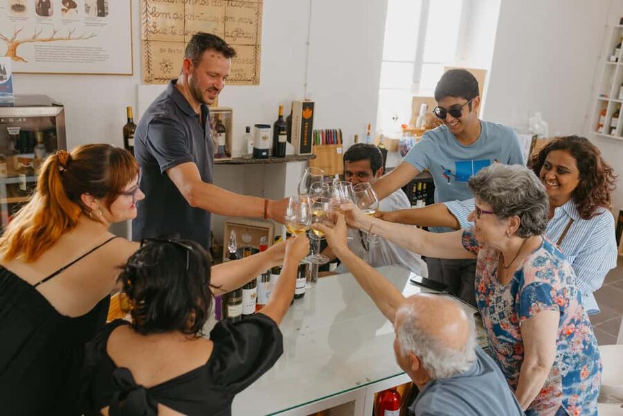 From Lisbon: Évora and Monsaraz Day Tour with Wine Tasting - Book it for the contrast between city and countryside