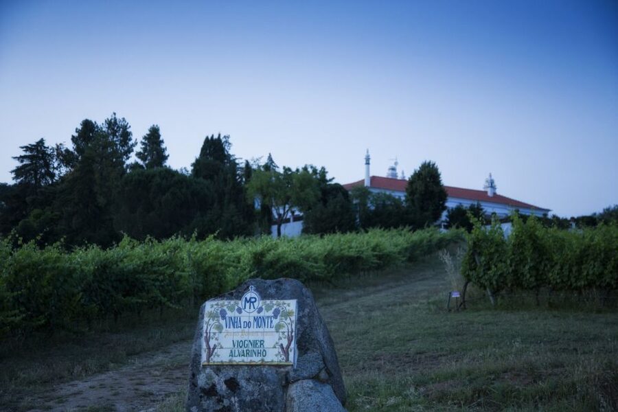 From Lisbon: Évora Wine & Heritage Tour - A full day on the road