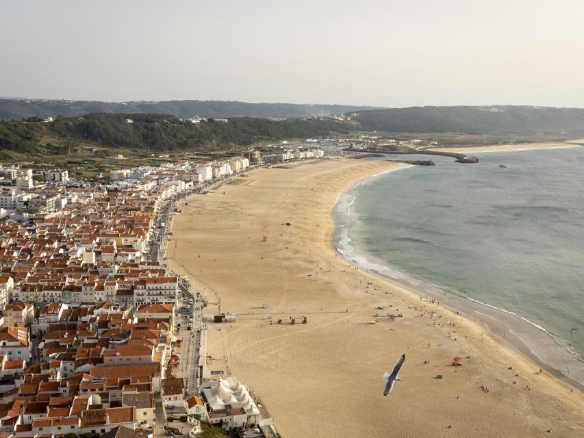 From Lisbon: Fátima, Nazaré and Sintra Guided Tour - The long road to Fátima