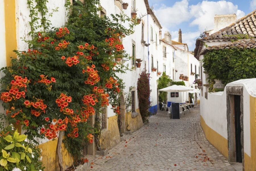 From Lisbon: Fátima, Óbidos Medieval, Nazaré Atlantic Coast - What the $63 price really buys