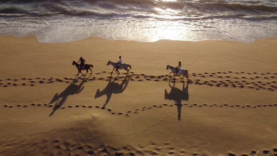 From Lisbon: Horseback Riding on Comporta Beach - Key points before you book