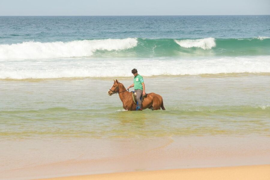 From Lisbon: Horseback Riding on Comporta Beach - Leaving Lisbon for Comporta’s wide-open coast