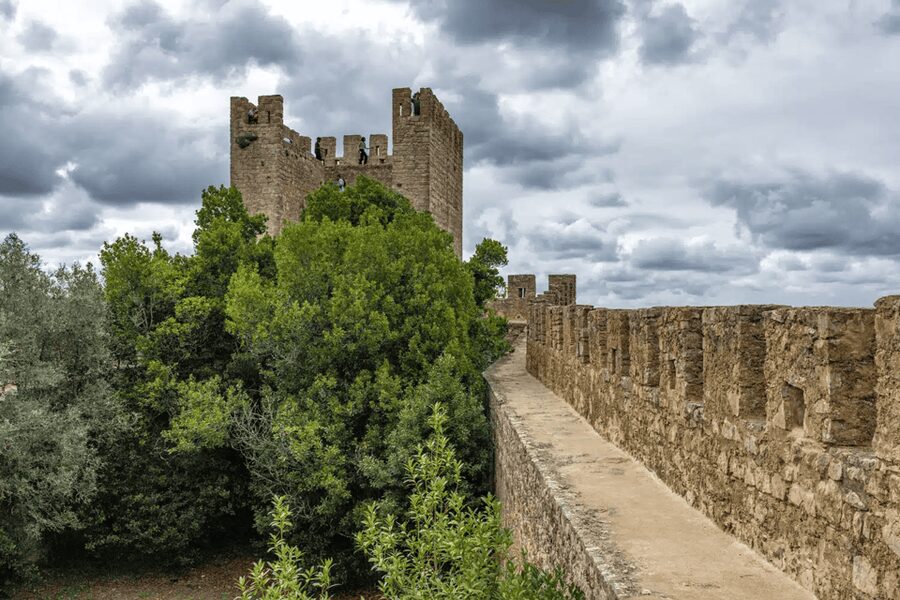 From Lisbon: Nazare Big Waves and Óbidos Guide Day Trip - Óbidos and its medieval walls